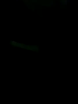 Snapshot of gurilove chatting on November 16, 2025, 4:51 am gurilove online show from November 16, 2025, 4:51 am