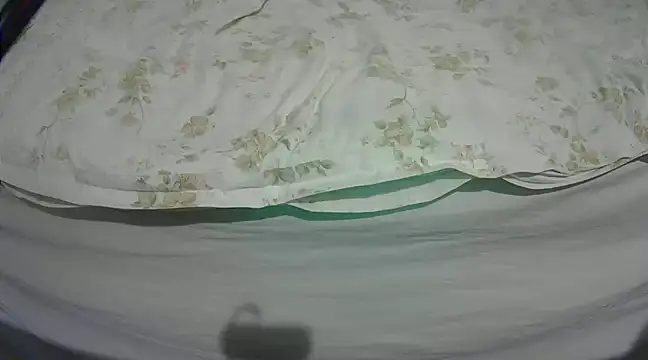 Tiger202441 online show from March 4, 2025, 9:32 pm