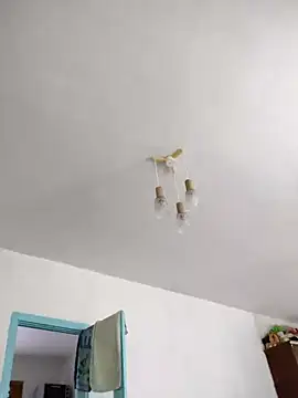 CoddessCrystal online show from March 17, 2025, 9:01 am