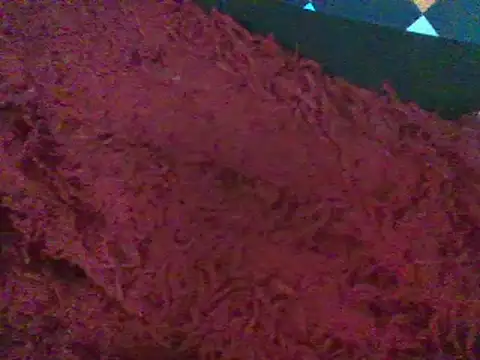 RoxiRedXXX online show from January 11, 2025, 6:12 pm