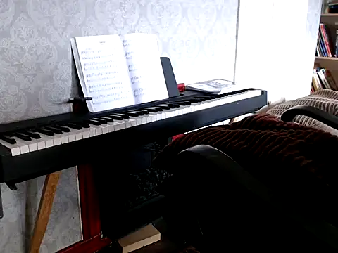 MrStraightDik online show from February 25, 2025, 12:45 pm