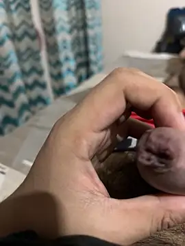 thecockybouy online show from March 1, 2025, 4:37 am