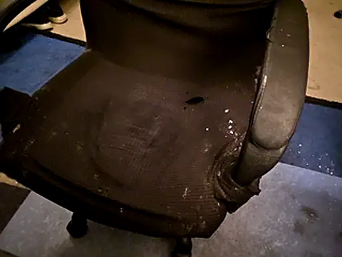 Migaruo online show from April 19, 2026, 4:56 am