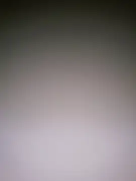 Snapshot of Dorset8360 chatting on January 10, 2025, 5:02 pm Dorset8360 online show from January 10, 2025, 5:02 pm