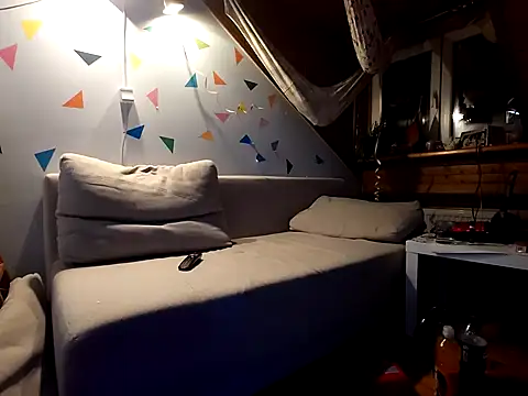 Snapshot of BSDG_POL chatting on January 12, 2025, 1:21 am BSDG POL online show from January 12, 2025, 1:21 am