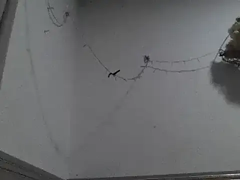 Snapshot of pedrodavid_ chatting on December 8, 2024, 12:18 am pedrodavid  online show from December 8, 2024, 12:18 am