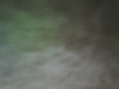 ShivamFactor3 online show from November 28, 2025, 5:48 pm