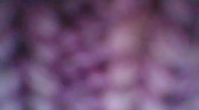 mia cooper 24 online show from December 30, 2024, 7:00 pm