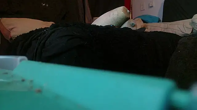 Snapshot of Gigadickman chatting on January 15, 2025, 2:17 am Gigadickman online show from January 15, 2025, 2:17 am