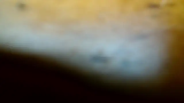 Snapshot of Gigadickman chatting on February 9, 2025, 11:57 pm Gigadickman online show from February 9, 2025, 11:57 pm