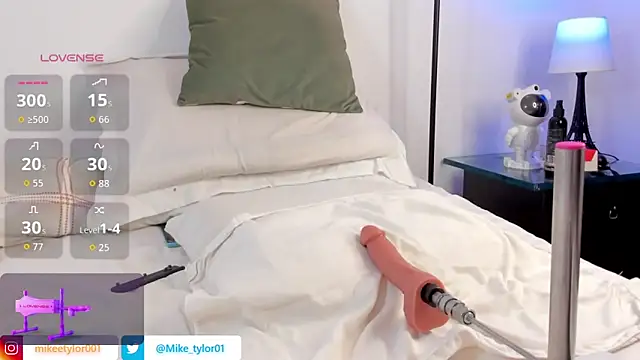 mike tylor01 online show from November 8, 2025, 10:30 pm