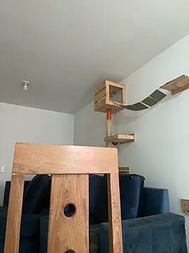 SofiaG  online show from December 27, 2024, 7:35 pm