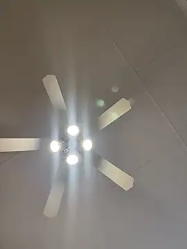 Dicktator16 online show from February 15, 2026, 3:31 pm