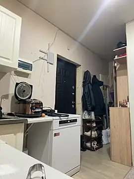 GraceTorrez online show from December 17, 2024, 7:40 am