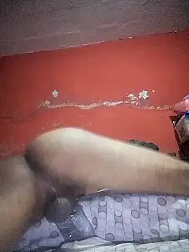 VL25DN26 online show from December 22, 2024, 1:33 pm