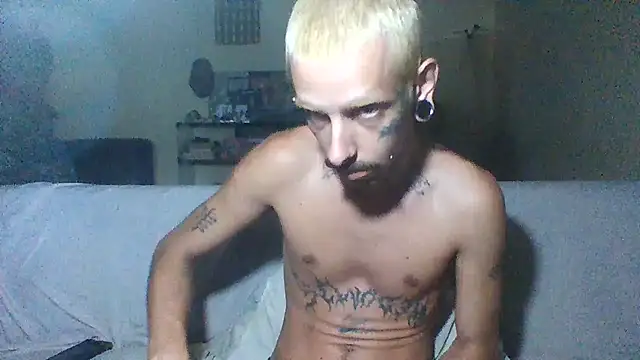 sellvageria online show from December 20, 2025, 9:38 am