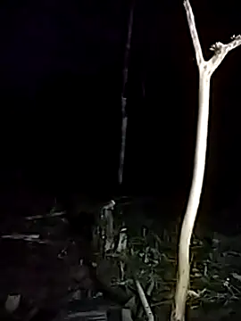 andreu mature online show from March 17, 2025, 11:43 pm