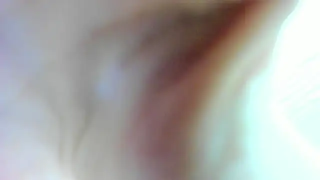 Snapshot of AishaRouhi chatting on January 17, 2025, 4:49 am AishaRouhi online show from January 17, 2025, 4:49 am