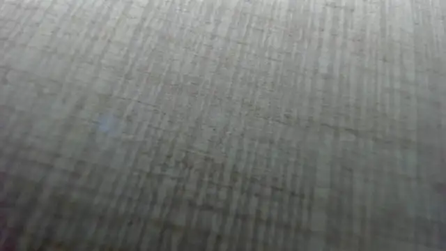 AishaRouhi online show from February 10, 2026, 5:11 am