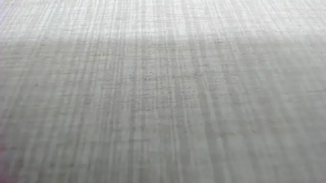 AishaRouhi online show from March 4, 2026, 5:13 am