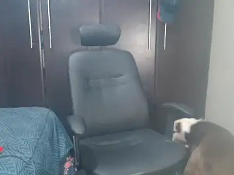 blzed420 online show from February 15, 2025, 11:14 pm