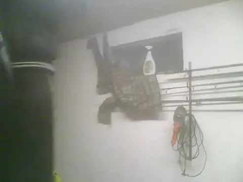 Snapshot of Rejtelmesest chatting on February 22, 2025, 5:24 pm Rejtelmesest online show from February 22, 2025, 5:24 pm