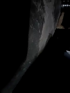 Snapshot of sandip-bhai chatting on December 25, 2024, 7:02 pm sandip-bhai online show from December 25, 2024, 7:02 pm