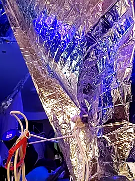 gurlnips online show from March 21, 2025, 11:33 am