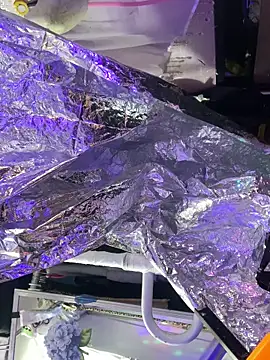 gurlnips online show from October 8, 2025, 6:05 pm