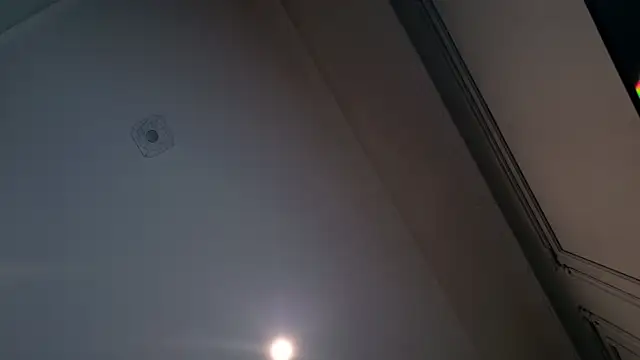 Snapshot of Liv_Fay chatting on December 28, 2024, 2:10 pm Liv Fay online show from December 28, 2024, 2:10 pm