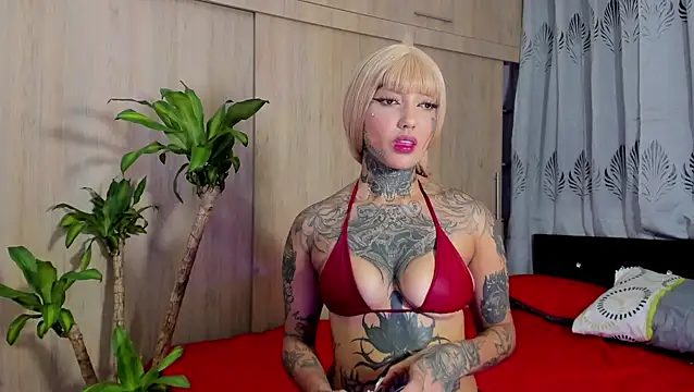 filletatouee online show from January 6, 2026, 5:11 am