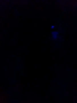 dotado20robson online show from February 16, 2026, 4:41 am