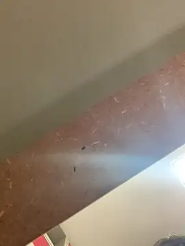 smithrosinha online show from September 19, 2025, 5:24 pm