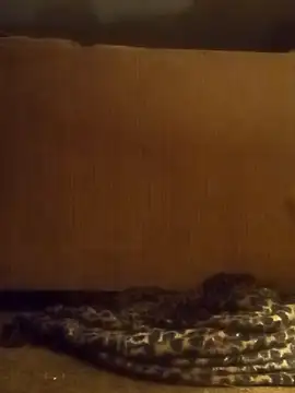 Snapshot of luke_thighwalker2469 chatting on February 8, 2025, 1:11 pm luke thighwalker2469 online show from February 8, 2025, 1:11 pm