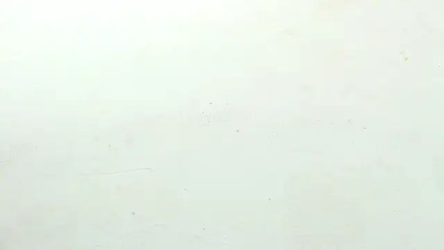 sinay024 online show from February 27, 2026, 8:03 am