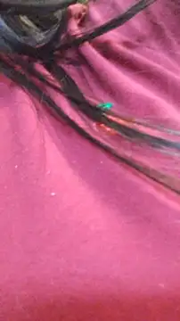 ailyn miranda online show from November 29, 2025, 7:50 pm