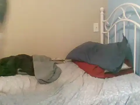 SmokingSloth online show from March 9, 2025, 5:06 pm