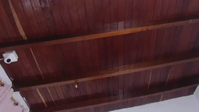 Amara Red online show from November 1, 2025, 11:23 am