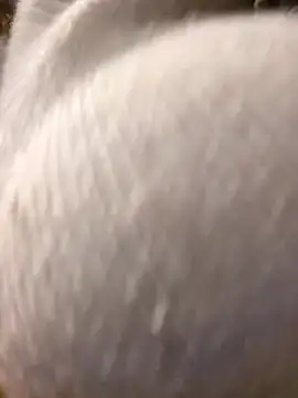 Giuliana baby online show from March 10, 2025, 9:21 am