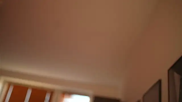 Snapshot of Bellis_Perenis chatting on December 28, 2024, 8:37 am Bellis Perenis online show from December 28, 2024, 8:37 am