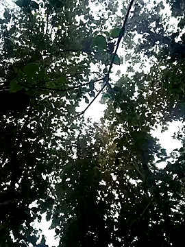 Fucker boy 1 online show from January 19, 2025, 3:50 am