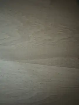 Joanachupa online show from January 18, 2026, 12:20 pm