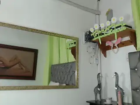 Snapshot of any_rox chatting on February 17, 2025, 5:21 pm any rox online show from February 17, 2025, 5:21 pm