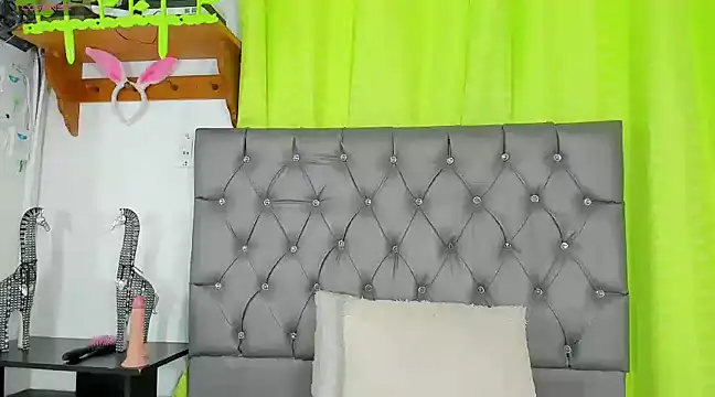 Snapshot of any_rox chatting on February 27, 2025, 3:37 pm any rox online show from February 27, 2025, 3:37 pm