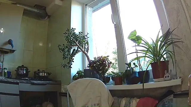 BroadFantasy online show from September 11, 2025, 1:22 pm