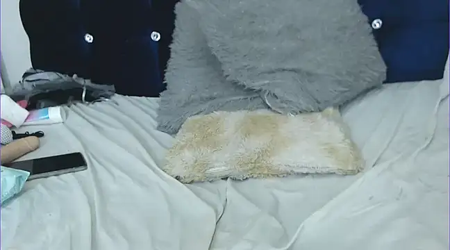 chicago 28 online show from January 25, 2025, 11:02 am