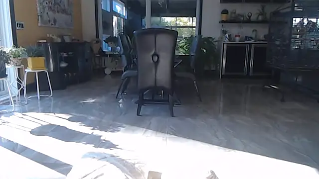 Toy-Daddy online show from October 28, 2025, 6:43 pm