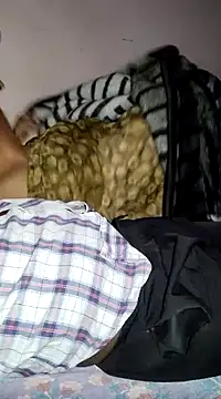 FeltedEuropium online show from February 6, 2025, 7:24 am