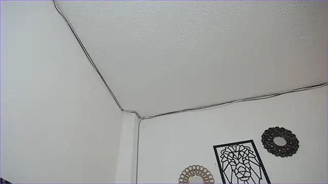 Snapshot of paytonbailey chatting on March 4, 2025, 5:03 pm paytonbailey online show from March 4, 2025, 5:03 pm