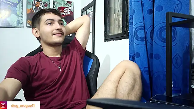 Snapshot of DiegoRogue_ chatting on February 8, 2025, 8:53 pm DiegoRogue online show from February 8, 2025, 8:53 pm